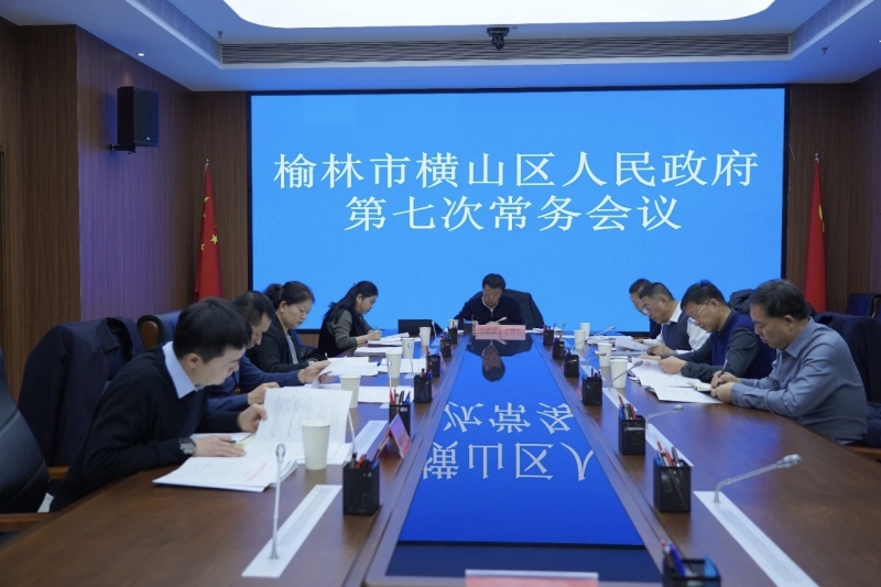 区政府召开第七次常务会议