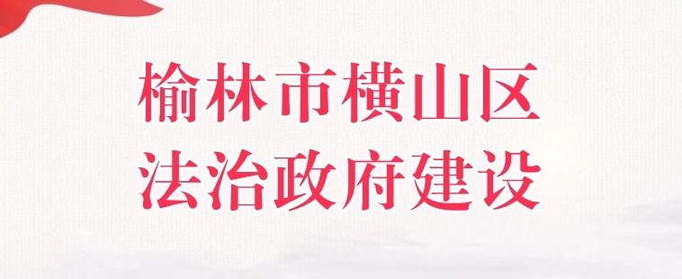 法治政府建设